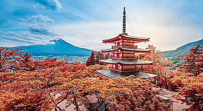 Reisen nach Japan sind weiterhin beliebt, allerdings fehlt es an Kapazitäten und die Preise sind dementsprechend hoch