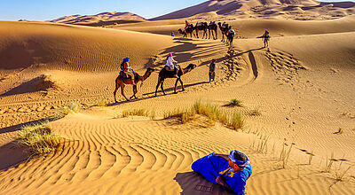 Mit Yolo in die Wüste reisen