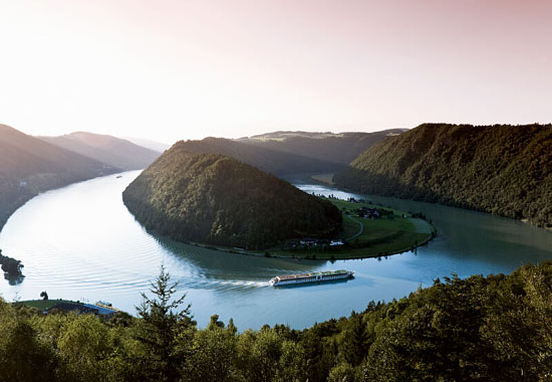 Beliebtes Kreuzfahrtziel: die Donau – hier die Schlögener Schlinge