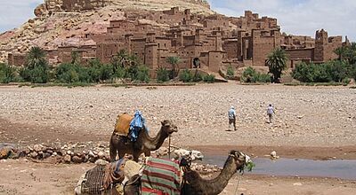 Erstmals bietet Öger Tours auch Reisen nach Marokko an