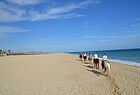 In San Jose del Cabo kann man wunderbar am Strand reiten
