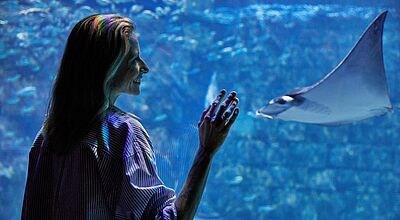 Eine Frau steht vor einer großen Glasscheibe in einem Aquarium und betrachtet lächelnd einen vorbeischwimmenden Rochen. Blaues Licht und Spiegelungen des Wassers fallen auf ihr Gesicht und ihre Kleidung, wodurch eine ruhige, faszinierte Stimmung entsteht.