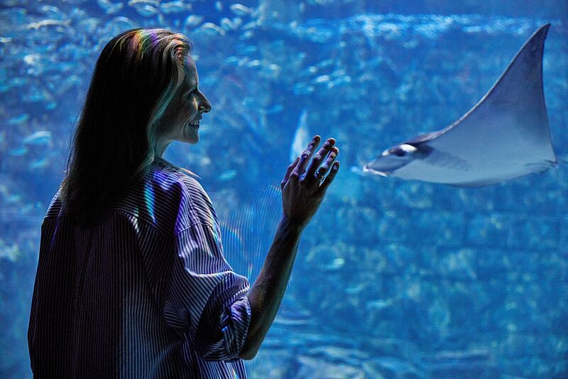 Dertour streicht auch Ausflüge ins Seaworld Orlando aus dem Programm Eine Frau steht vor einer großen Glasscheibe in einem Aquarium und betrachtet lächelnd einen vorbeischwimmenden Rochen. Blaues Licht und Spiegelungen des Wassers fallen auf ihr Gesicht und ihre Kleidung, wodurch eine ruhige, faszinierte Stimmung entsteht.