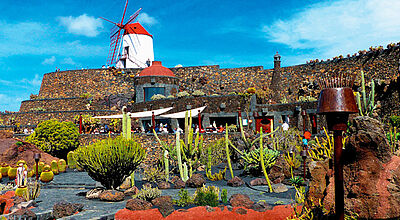 Der von Cesar Manrique initiierte Kakteengarten Der von Cesar Manrique initiierte Kakteengarten