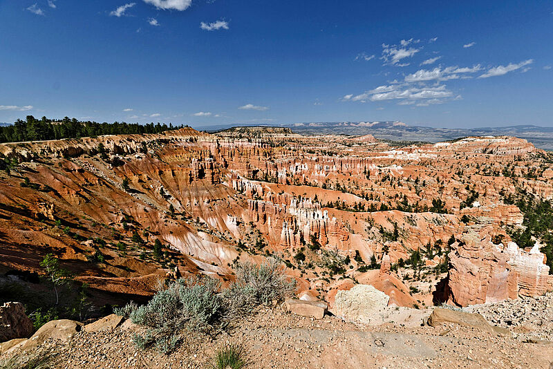 Im Katalog für Kleingruppen findet sich auch eine neue Aktivreise durch den Westen der USA, hier der Bryce Canyon
