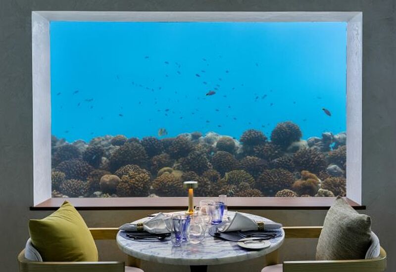 Im Only Blu kann man gleichzeitig speisen und Fische beobachten