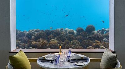 Im Only Blu kann man gleichzeitig speisen und Fische beobachten