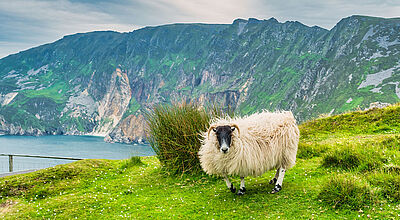 Das Angebot für Reisen nach Großbritannien und Irland wächst für 2024