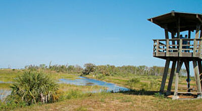 Ökologisch ausgerichteter Tourismus spielt - wie in den Everglades - eine immer größere Rolle im USA-Tourismus.