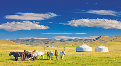 Auf 24 Seiten stellt Trendtours im neuen Katalog das Fernreise-Portfolio vor, darunter auch Reisen in die Mongolei Steppe Pferde Yurten Berge blauer Himmel weiße Wolken