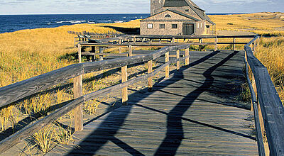 Eine herrliche Küstenlandschaft erwartet den Besucher in Cape Cod.