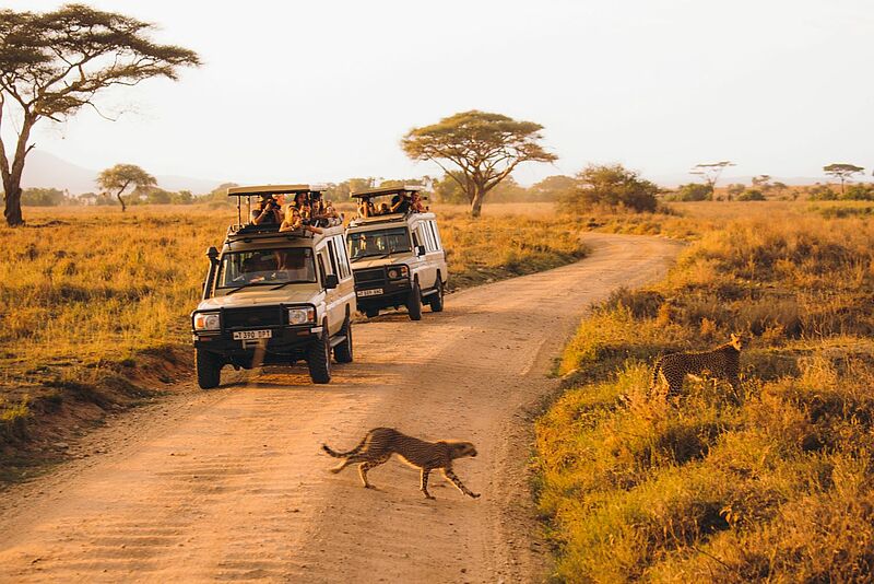 Durch die Corona-Pandemie kam der Tourismus auch in Tansania fast zum Erliegen. Reisebüro-Inhaber Volker Schmidt entschied sich, seine Partner vor Ort zu unterstützen