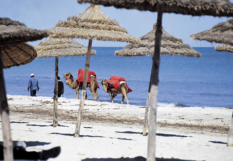 Tunesiens Strände – hier Djerba – werden im Sommer gut besucht sein. In Ägypten wird es Lücken geben