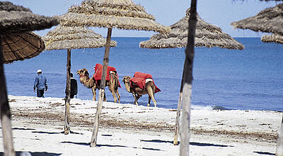 Tunesiens Strände – hier Djerba – werden im Sommer gut besucht sein. In Ägypten wird es Lücken geben