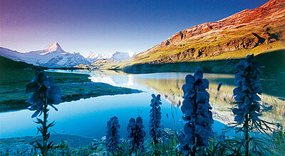 Mit intakter Natur wirbt die Schweiz zum Sommer 2009.