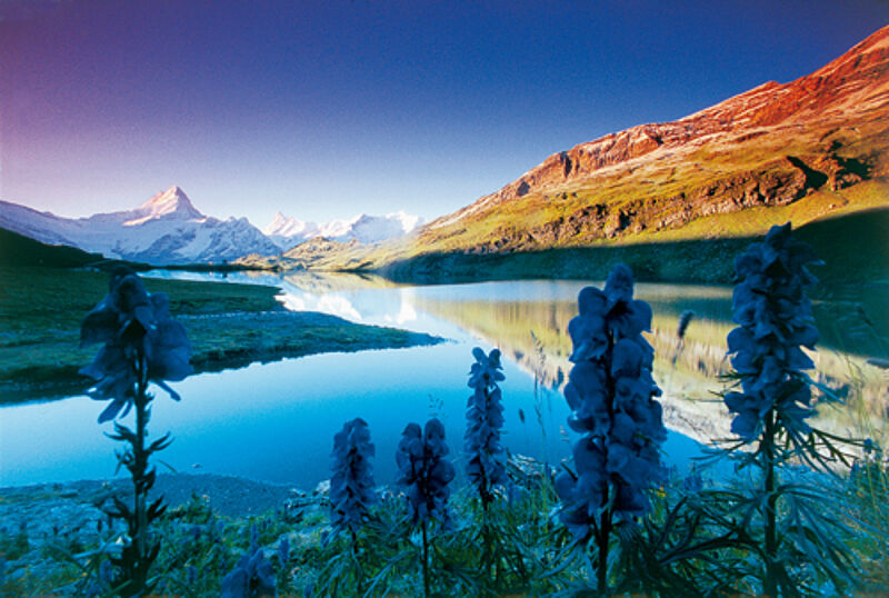 Mit intakter Natur wirbt die Schweiz zum Sommer 2009.