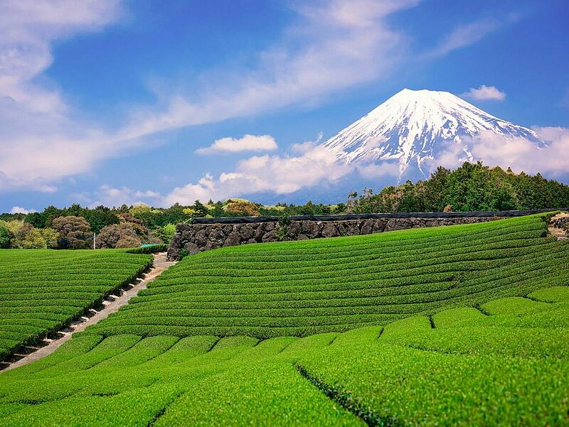 DER Touristik will gebuchte Japan-Reisen mit einem neuen Partner durchführen. Foto: Sean Pavone/iStockphoto