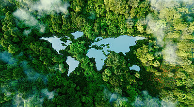 Die LCC-Handelsmarke „Grünes Reisebüro“ setzt auf umweltfreundliches Reisen. Foto: Petmal/istockphoto
