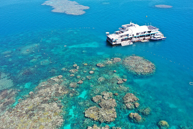 Der neue Ponton von Reef Magic liegt im nördlichen Great Barrier Reef. Foto: Reef Magic 