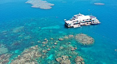 Der neue Ponton von Reef Magic liegt im nördlichen Great Barrier Reef. Foto: Reef Magic 