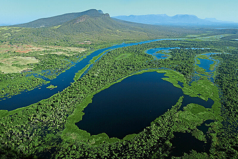 Das Pantanal ist das größte Sumpfgebiet der Erde. Foto: Pedro Moraes / istockphoto
