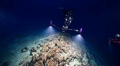 In der Tiefe des Meeres können Taucher seltene Fundstücke entdecken