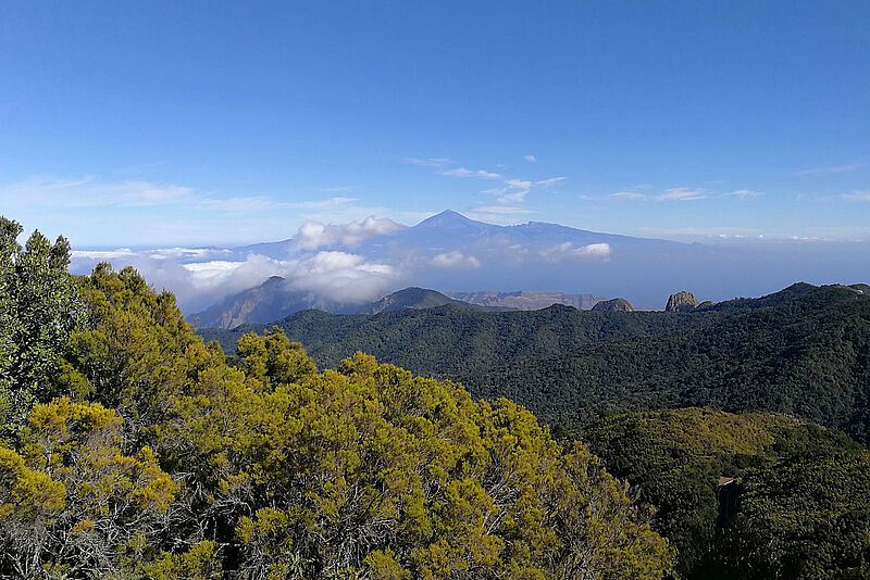 Die kanarische Insel La Gomera gilt bereits als „Corona-frei“