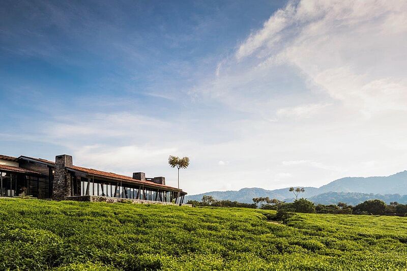 Das One & Only Nyungwe liegt auf einer Teeplantage in Ruanda
