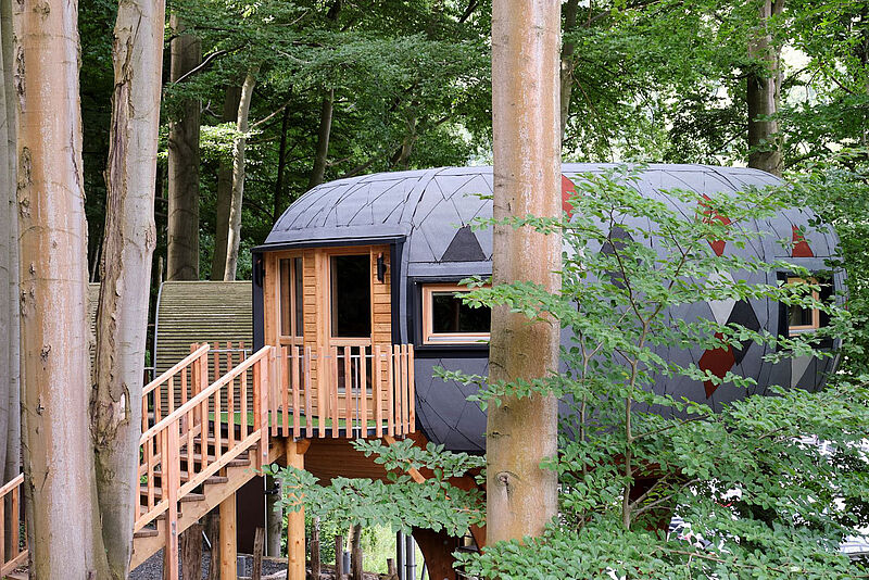 Im Sonnenresort Ettershaus im Harz gibt es nun auch Oktagon-Baumhäuser.