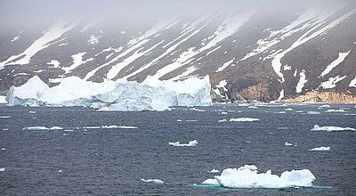 Mit Iceland Pro Cruises Eisberge vor Westgrönland erleben