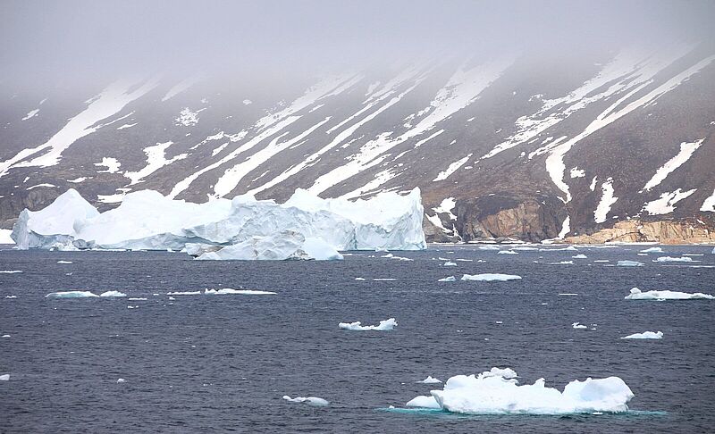 Mit Iceland Pro Cruises Eisberge vor Westgrönland erleben