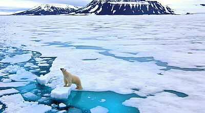 Die Umweltschutzbestimmungen auf Spitzbergen werden verschärft