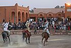 Mit viel Energie: Berberische Reiterspiele