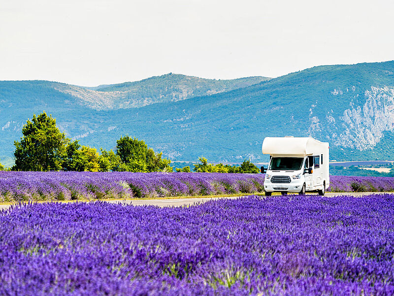 Das Angebot an Campmobilen hat Dertour für 2021 stark ausgebaut. Foto: Leonid Andronov/istockphoto