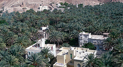 Oman erfüllt vor allem den Traum von Tausendundeiner Nacht – hier in der Nähe von Nizwa.