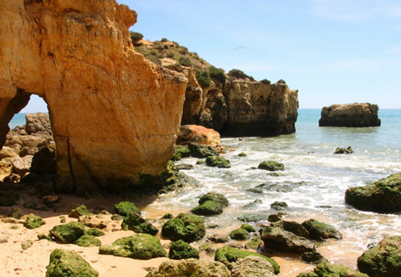 Für die Algarve will Olimar künftig noch mehr Marketing betreiben - auch mit Inforeisen
