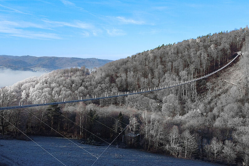 Hängeseilbrücke über einer weißen, bewaldeten Winterlandschaft