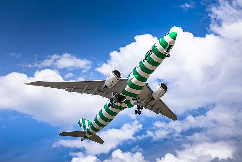 Eine grün-weiß geringelte Condor-Maschine vom Typ Airbus A330 Neo von unten vor blauem Himmel mit weißen Wolken fotografiert.