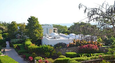 Im Riu Palace Zanzibar verteilen sich 236 Zimmer auf eine parkähnliche Anlage Im Riu Palace Zanzibar verteilen sich 236 Zimmer auf eine parkähnliche Anlage