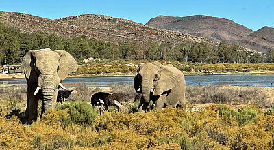 Explorer ist in 71 Ländern der Welt aktiv, darunter auch in Südafrika