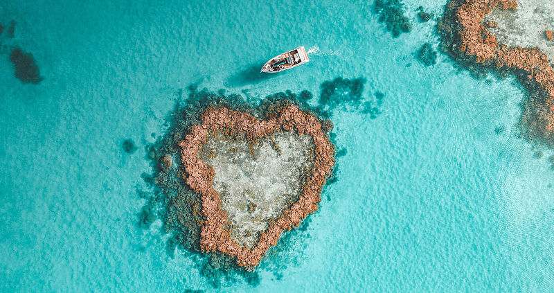 In dem Webinar von Tourism Australia erhalten Reiseverkäufer die wichtigsten Verkaufsargumente und Informationen zur Destination