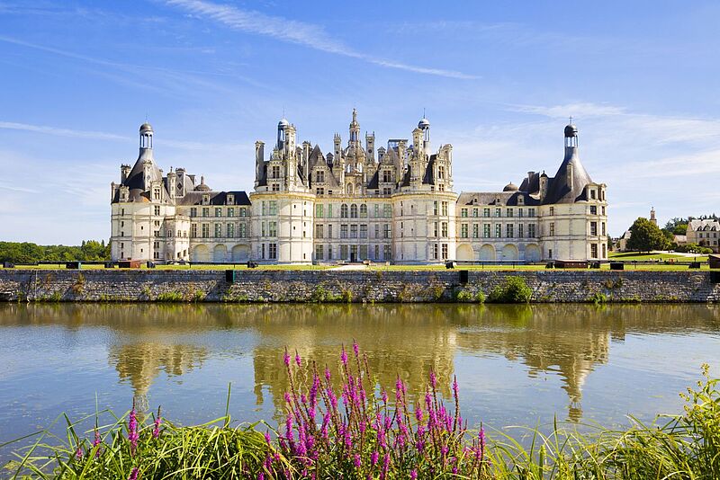 Eine der Stationen auf der neuen Frankreich-Reise von Trendtours ist Schloss Chambord an der Loire. Foto: JoseIgnacioSoto/iStock Prächtiges Schloss mit markanten Türmen und aufwendiger Renaissance-Architektur, gespiegelt im ruhigen Wasser eines breiten Grabens; im Vordergrund blühende violette Uferpflanzen unter blauem Himmel.