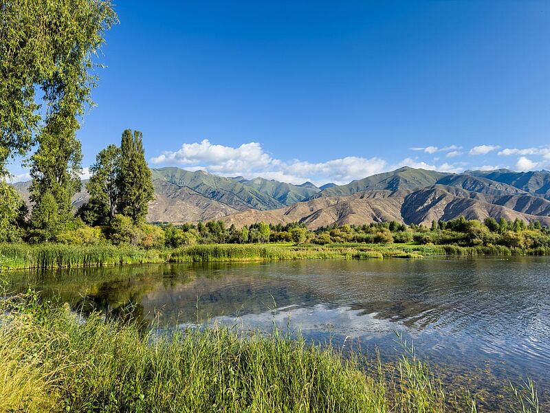 Ruhiger See mit Schilf und Bäumen im Vordergrund, dahinter sanft ansteigende, grün-braune Berge unter blauem Himmel mit wenigen Wolken.