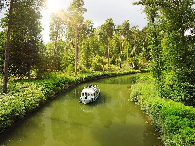 Ein weißes Hausboot unterwegs auf einem ruhigen Fluss mit grünem Wasser, am Ufer wachsen Farne und hohe Bäume.