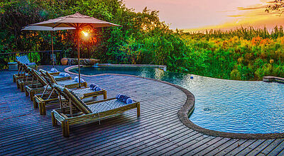 Lodge-Terrasse mit Pool und Blick auf grüne Baumwipfel