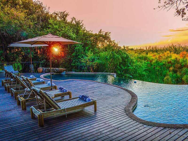 Lodge-Terrasse mit Pool und Blick auf grüne Baumwipfel
