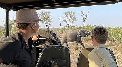 Eine neue Familiengruppenreise führt im nächsten Jahr nach Südafrika