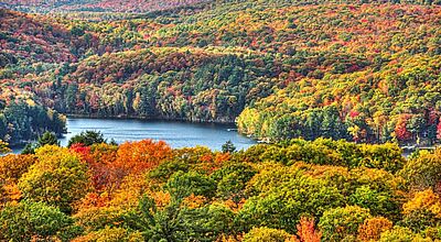 Weiter Blick über einen herbstlich verfärbten Laubwald, in der Mitte ein Gewässer