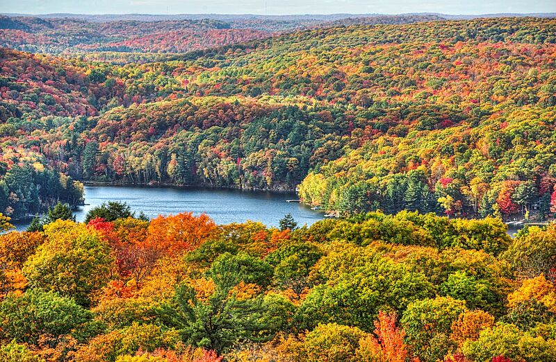 Weiter Blick über einen herbstlich verfärbten Laubwald, in der Mitte ein Gewässer