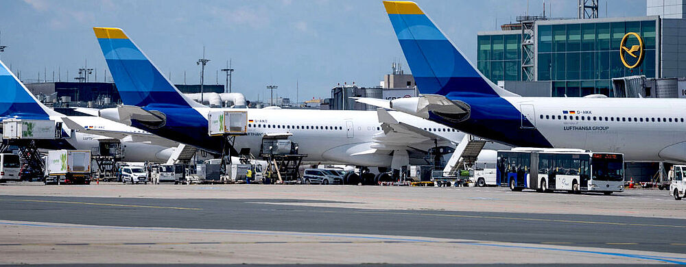 Mehrere Flugzeuge von Discover Airlines in weiß-blau-gelber Lackierung stehen nebeneinander vor dem Terminalgebäude des Frankfurter Flughafens